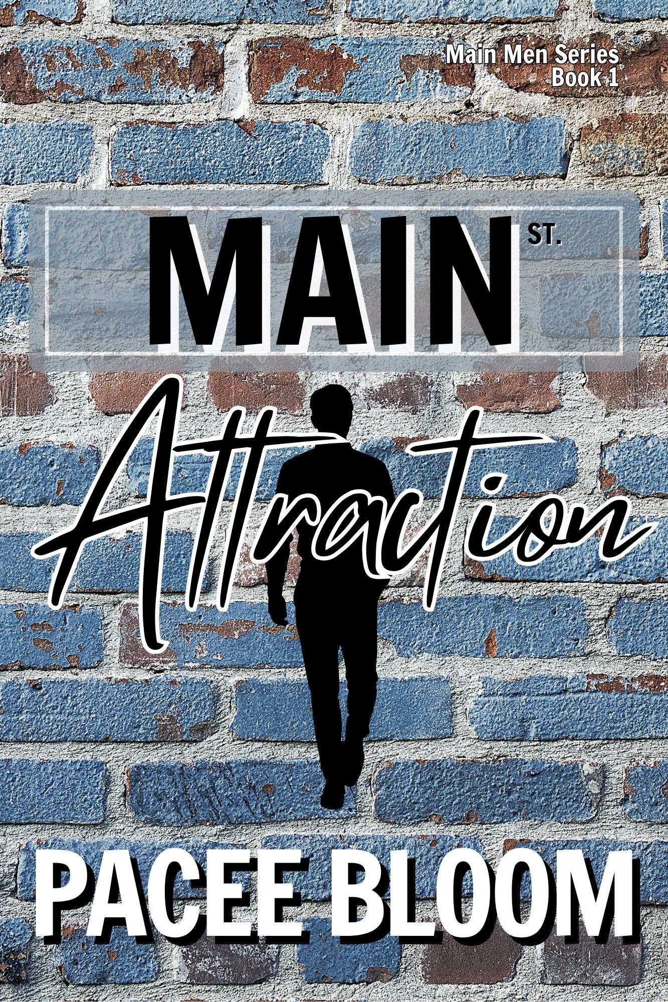 Main Attraction book cover